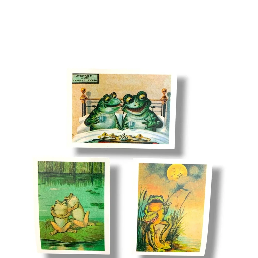 6 Greeting Cards with Envelopes The Lora Verner Collection of Frogs Gift Pack